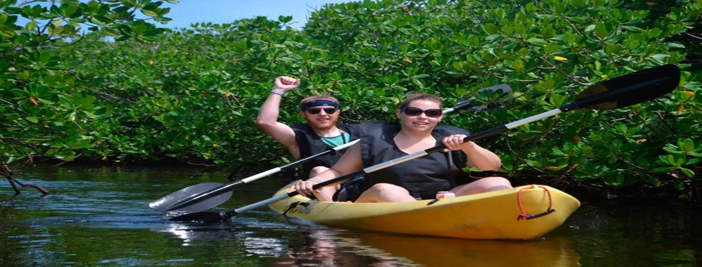 Image for Kayak Mangrove Discovery